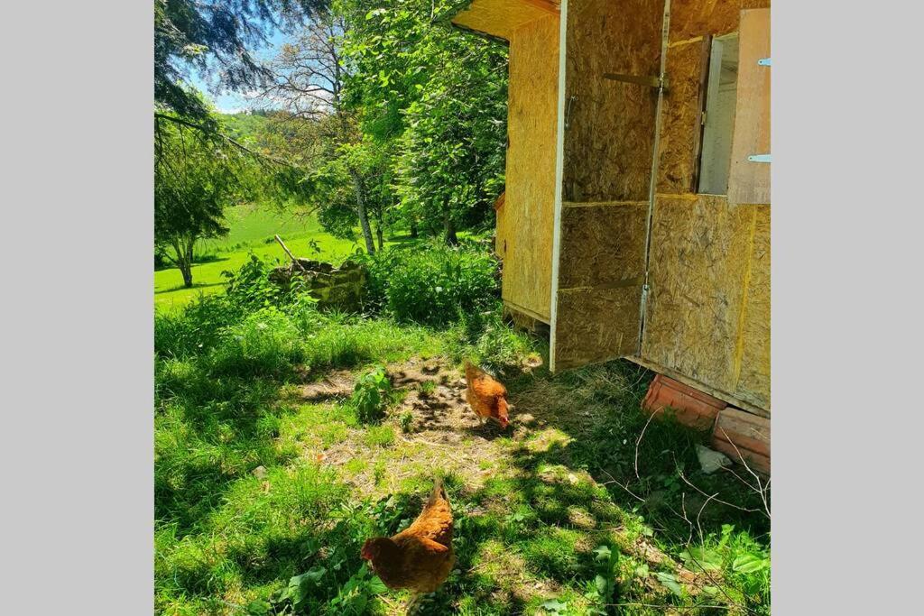 Gite Les Hauts De Villemaloux Dontreix ภายนอก รูปภาพ